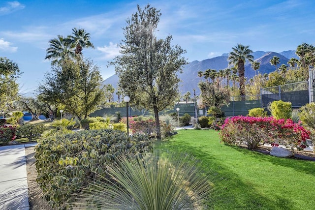 view of community with a yard and a mountain view