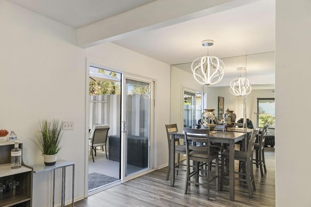 dining space with hardwood / wood-style flooring, an inviting chandelier, and a wealth of natural light