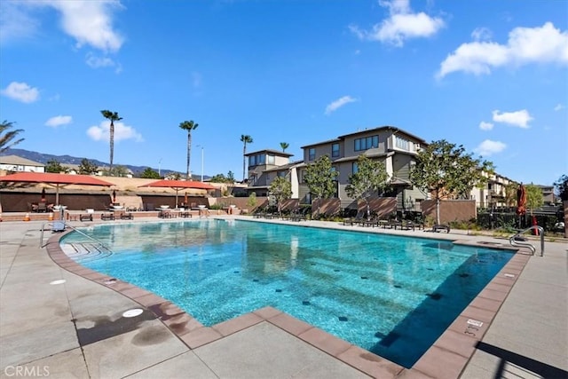 view of pool featuring a patio area