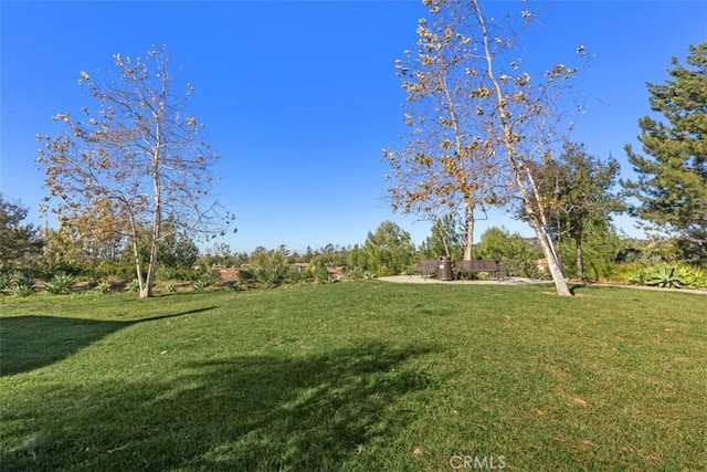 view of yard featuring a patio