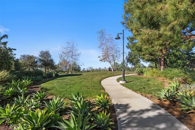 view of property's community with a lawn