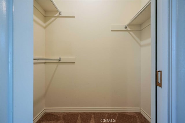 walk in closet featuring carpet floors