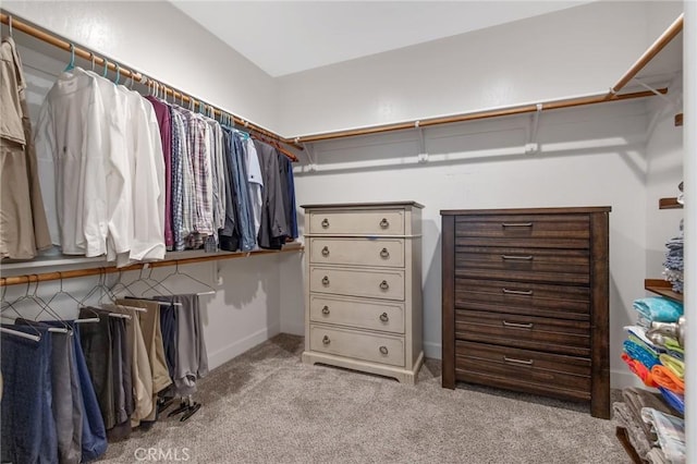 spacious closet with light carpet