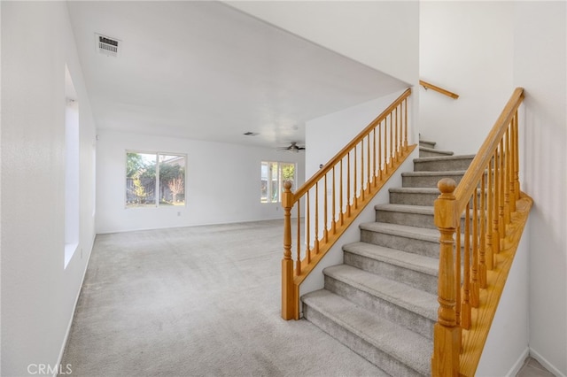 stairs with ceiling fan and carpet