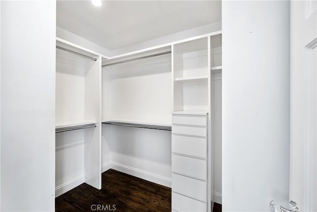 walk in closet featuring dark hardwood / wood-style floors