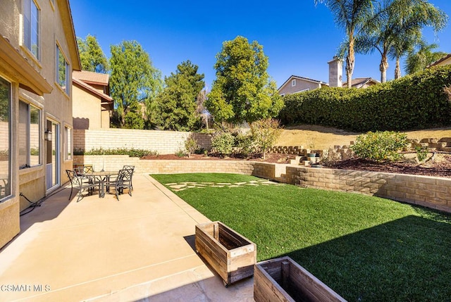 view of yard featuring a patio area