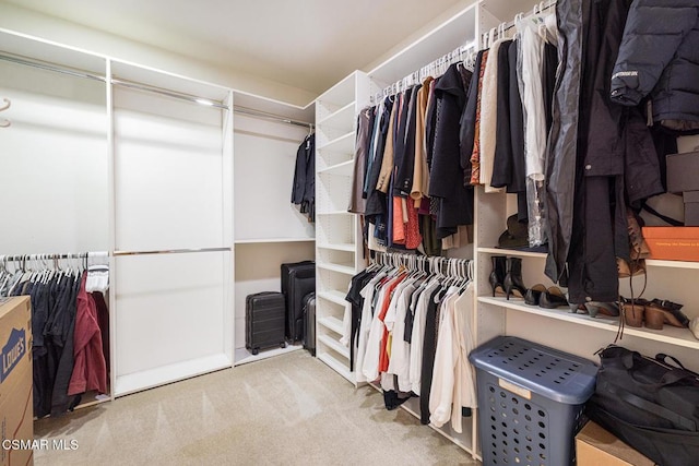 walk in closet featuring light carpet