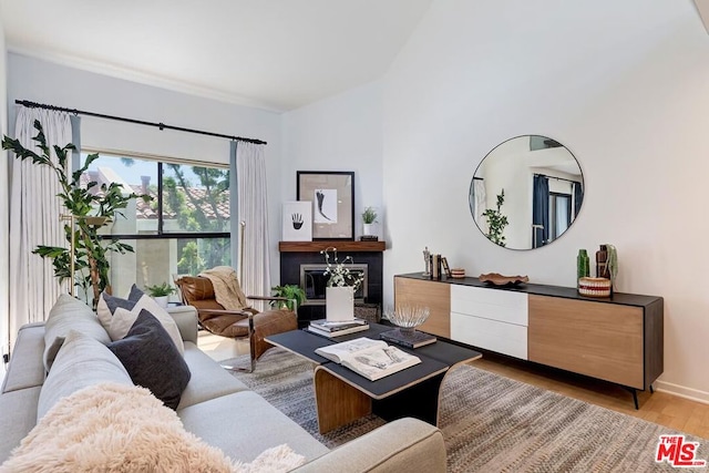 living room with hardwood / wood-style flooring