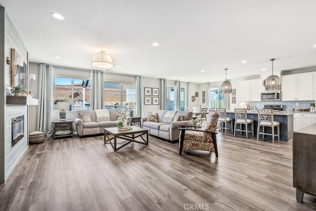 living room featuring light hardwood / wood-style flooring