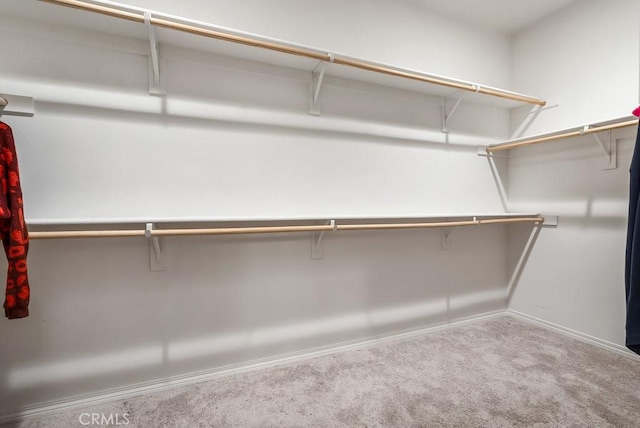 spacious closet with carpet