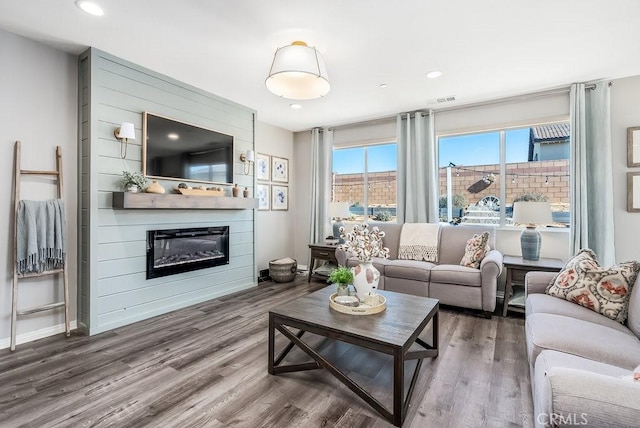 living room with a fireplace and wood-type flooring