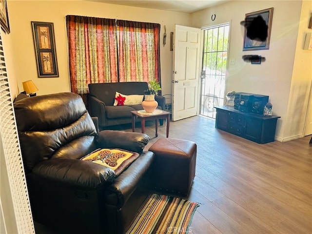 living room featuring hardwood / wood-style floors