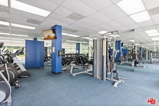 gym with a paneled ceiling and carpet floors