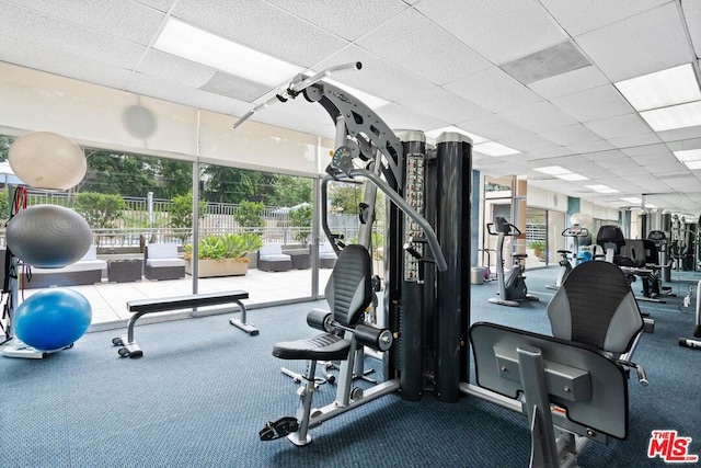 workout area with a wealth of natural light, a drop ceiling, and carpet flooring