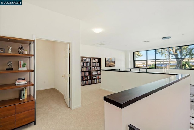 interior space with light colored carpet