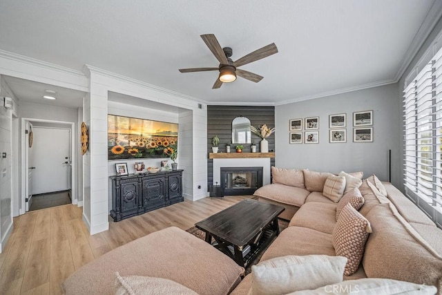 living room featuring ceiling fan, ornamental molding, and light hardwood / wood-style flooring