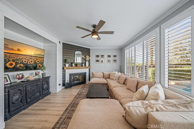 living room featuring ceiling fan, ornamental molding, and light hardwood / wood-style flooring