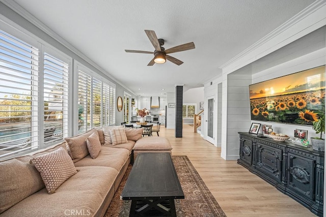 living room with light wood-type flooring, ceiling fan, and ornamental molding