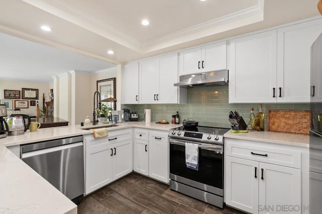 kitchen with appliances with stainless steel finishes, a tray ceiling, decorative backsplash, and white cabinetry