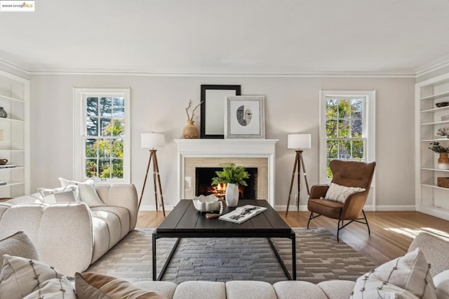 living room featuring built in features, a premium fireplace, and a healthy amount of sunlight