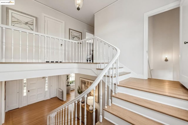 stairs featuring hardwood / wood-style flooring