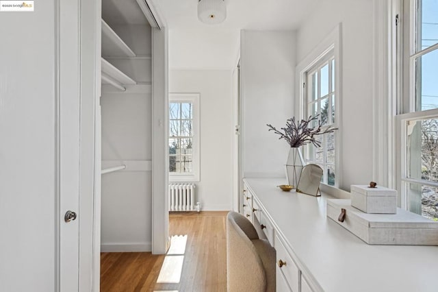 spacious closet featuring radiator and light wood-type flooring