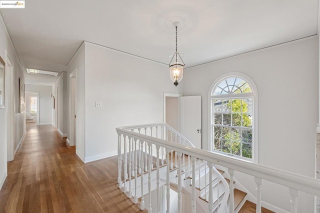 corridor with dark hardwood / wood-style flooring