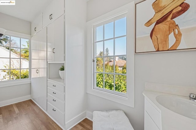 bathroom with hardwood / wood-style floors and sink