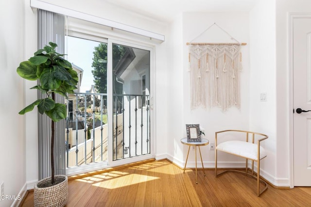 entryway featuring hardwood / wood-style floors