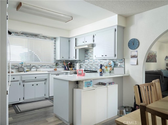 kitchen featuring kitchen peninsula, tasteful backsplash, sink, wood-type flooring, and dishwashing machine