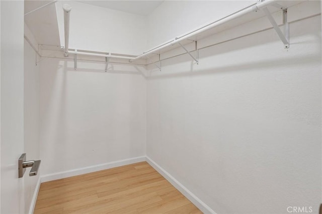 spacious closet with wood finished floors