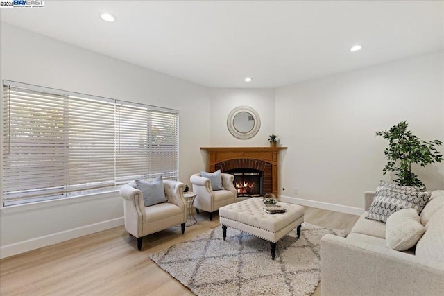 living room featuring a fireplace and light hardwood / wood-style flooring