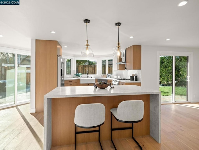 kitchen featuring light wood-type flooring, a kitchen island, sink, decorative light fixtures, and premium appliances