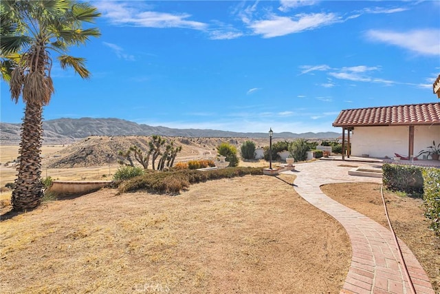 view of yard with a patio and a mountain view