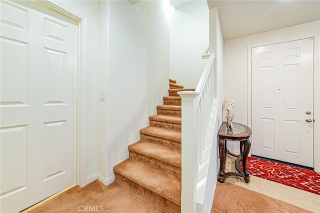 staircase featuring carpet flooring