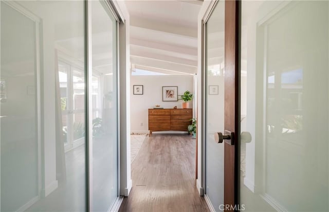 hall featuring wood-type flooring