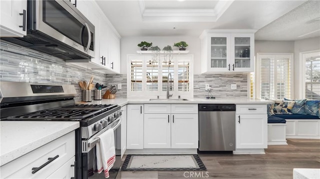 kitchen with white cabinets, stainless steel appliances, ornamental molding, a tray ceiling, and sink