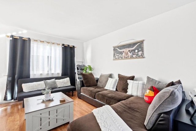 living room with hardwood / wood-style flooring