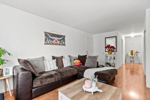 living room featuring light wood-type flooring