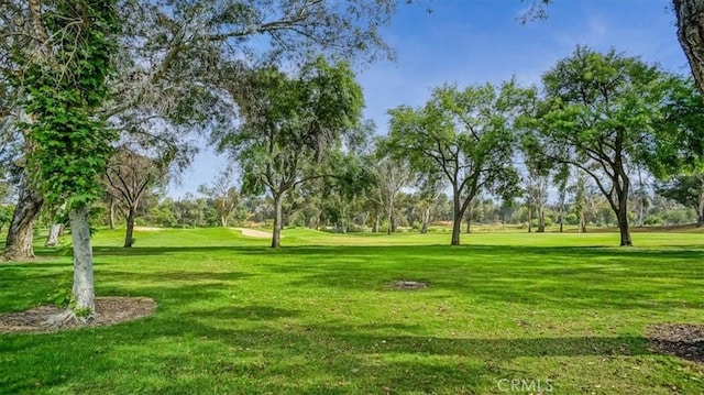 surrounding community featuring a lawn