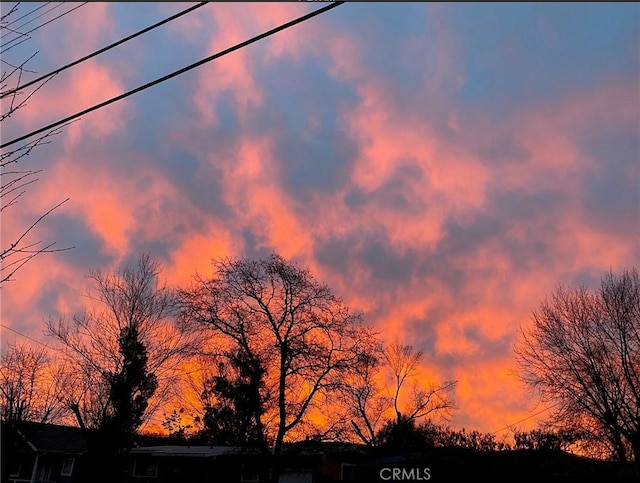 view of nature at dusk