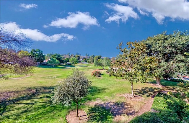 view of home's community featuring a yard