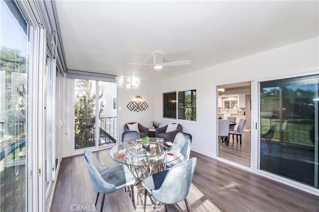 dining area featuring dark wood-type flooring, a wealth of natural light, and ceiling fan