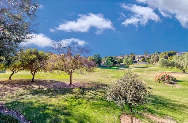 view of home's community with a yard