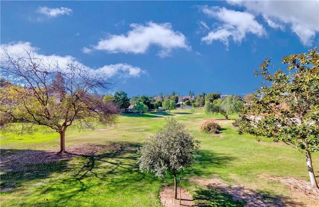 view of community with a lawn