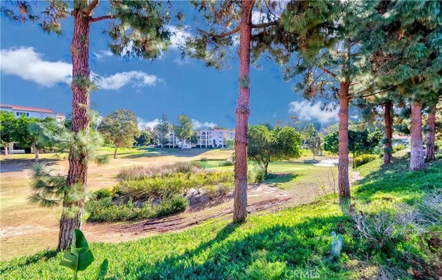 view of property's community featuring a lawn