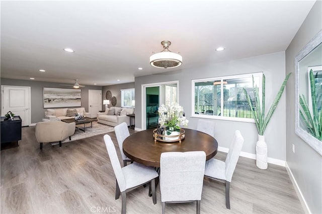 dining area featuring ceiling fan and hardwood / wood-style floors