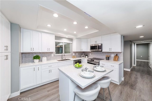 kitchen with white cabinets, a tray ceiling, and stainless steel appliances