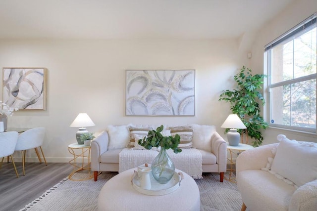 living room with hardwood / wood-style flooring