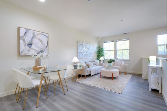 living room featuring wood-type flooring